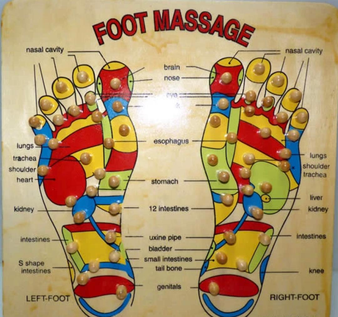 Foot Massage Reflexology Chart